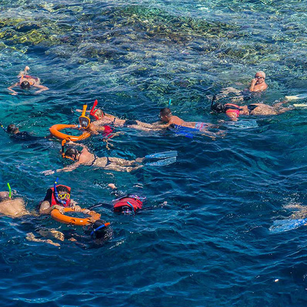 Sharm el Sheikh best snorkeling