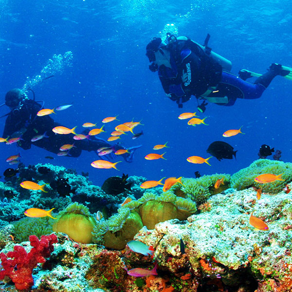 3 Days Diving In Sharm El Sheikh